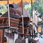 Avec Garage Et Terrasse Au Coeur De Colmar, Pres De La Route Des Vins D'alsace - Fr-1-722-6 * Colmar