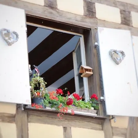 Avec Garage Et Terrasse Au Coeur De Colmar, Près De La Route Des Vins D'alsace - Fr-1-722-6 * Colmar