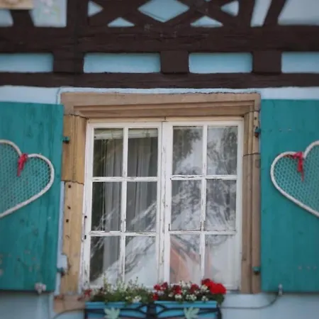 Appartamento Avec Garage Et Terrasse Au Coeur De Colmar, Près De La Route Des Vins D'alsace - Fr-1-722-6 *