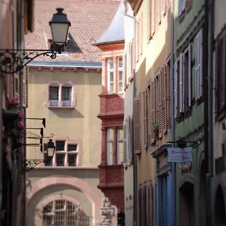 Avec Garage Et Terrasse Au Coeur De Colmar, Près De La Route Des Vins D'alsace - Fr-1-722-6 * Colmar