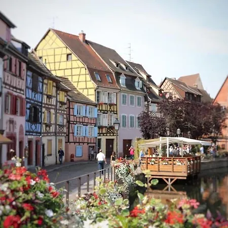 Avec Garage Et Terrasse Au Coeur De Colmar, Pres De La Route Des Vins D'alsace - Fr-1-722-6 Lägenhet