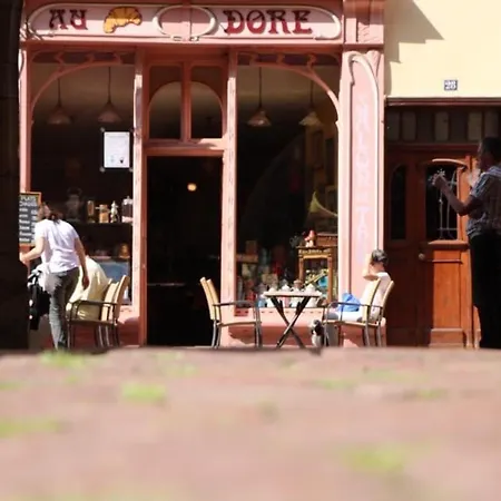 Avec Garage Et Terrasse Au Coeur De Colmar, Près De La Route Des Vins D'alsace - Fr-1-722-6 * Colmar