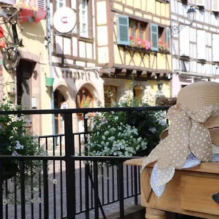 Avec Garage Et Terrasse Au Coeur De Colmar, Pres De La Route Des Vins D'alsace - Fr-1-722-6 Apartman *