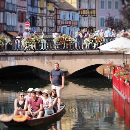 Apartman Avec Garage Et Terrasse Au Coeur De Colmar, Pres De La Route Des Vins D'alsace - Fr-1-722-6 Colmar