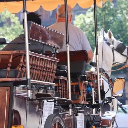 Avec Garage Et Terrasse Au Coeur De Colmar, Près De La Route Des Vins D'alsace - Fr-1-722-6 * Colmar