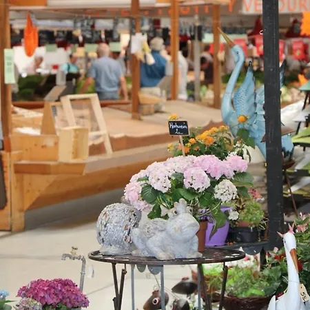 Apartman Avec Garage Et Terrasse Au Coeur De Colmar, Pres De La Route Des Vins D'alsace - Fr-1-722-6