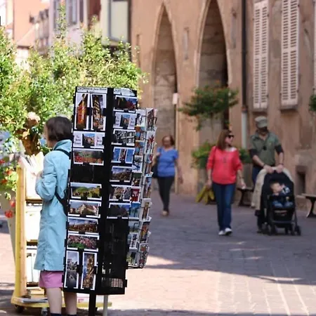 Avec Garage Et Terrasse Au Coeur De Colmar, Près De La Route Des Vins D'alsace - Fr-1-722-6 Colmar