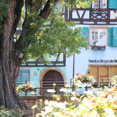 Lägenhet Avec Garage Et Terrasse Au Coeur De Colmar, Pres De La Route Des Vins D'alsace - Fr-1-722-6 *