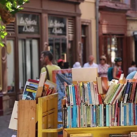 Avec Garage Et Terrasse Au Coeur De Colmar, Près De La Route Des Vins D'alsace - Fr-1-722-6 *