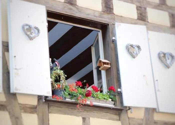 Avec Garage Et Terrasse Au Coeur De Colmar, Pres De La Route Des Vins D'alsace - Fr-1-722-6 * Colmar