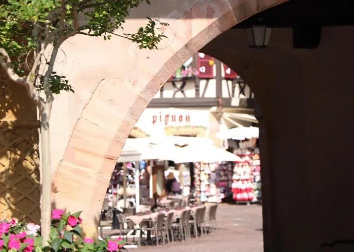 Avec Garage Et Terrasse Au Coeur De Colmar, Pres De La Route Des Vins D'alsace - Fr-1-722-6 Apartamento *