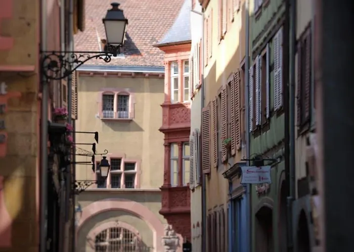 Avec Garage Et Terrasse Au Coeur De Colmar, Pres De La Route Des Vins D'alsace - Fr-1-722-6 * Colmar