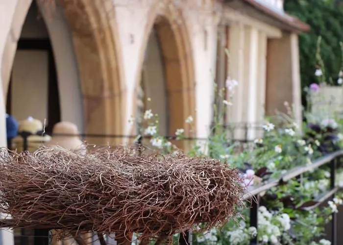 Avec Garage Et Terrasse Au Coeur De Colmar, Pres De La Route Des Vins D'alsace - Fr-1-722-6 *