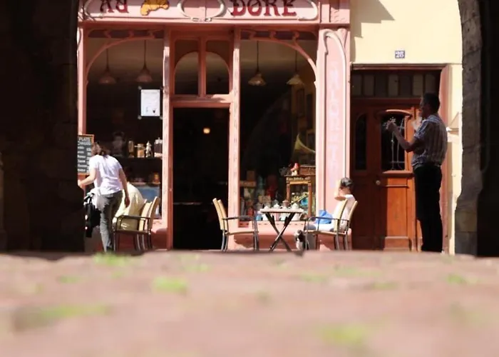 Avec Garage Et Terrasse Au Coeur De Colmar, Pres De La Route Des Vins D'alsace - Fr-1-722-6 * Colmar