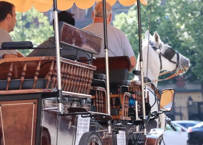 Avec Garage Et Terrasse Au Coeur De Colmar, Pres De La Route Des Vins D'alsace - Fr-1-722-6 * Κολμάρ