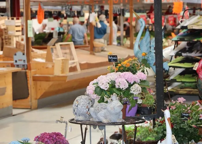 Apartamento Avec Garage Et Terrasse Au Coeur De Colmar, Pres De La Route Des Vins D'alsace - Fr-1-722-6