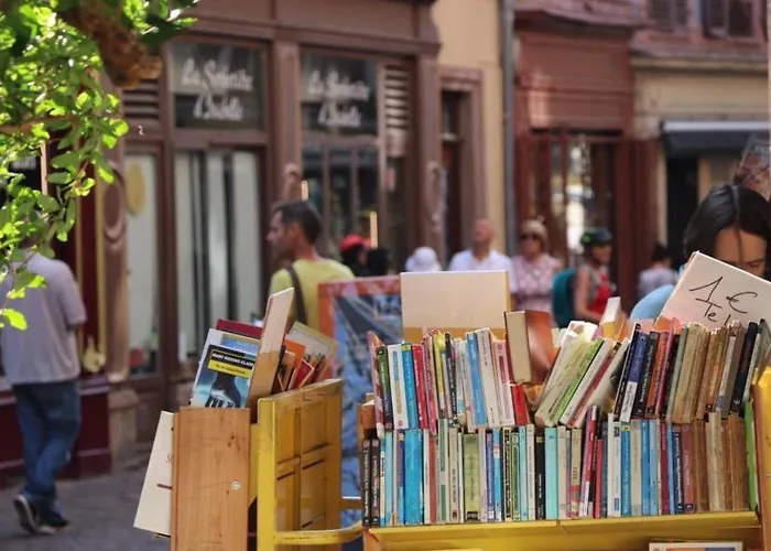 Avec Garage Et Terrasse Au Coeur De Colmar, Pres De La Route Des Vins D'alsace - Fr-1-722-6 *
