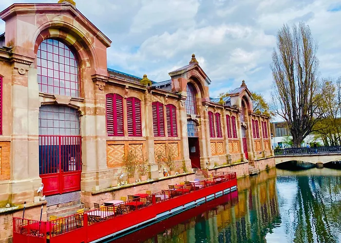 Avec Garage Et Terrasse Au Coeur De Colmar, Pres De La Route Des Vins D'alsace - Fr-1-722-6 * Colmar